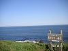 s_PICT0500_thumb.png